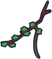 Thumbnail for version as of 17:31, 2 August 2024