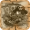 Image ofYe Olde Buccaneer
