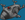 Drone DDT