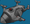 Image ofDrone DDT