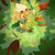 Druid