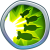 Quad Burst