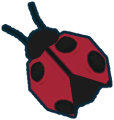Thumbnail for version as of 17:29, 2 August 2024