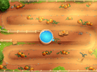 Pumpkin Patch