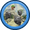 Image ofCamo Lead Bloon