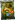Lead Storm Card Packs